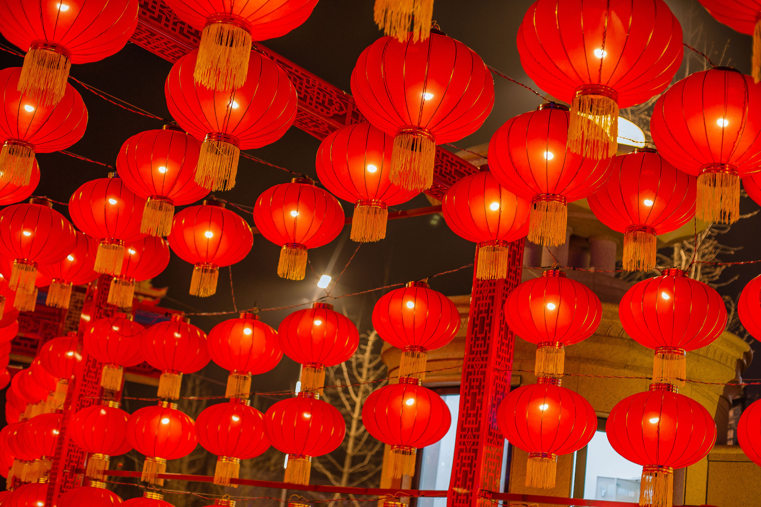 1772410707179856.jpg 1-1.jpg